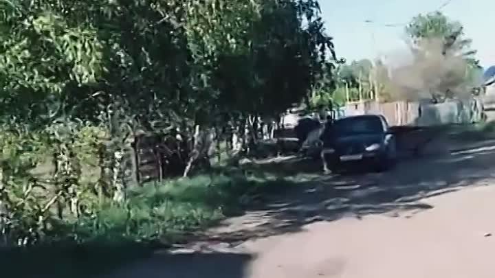 Видео