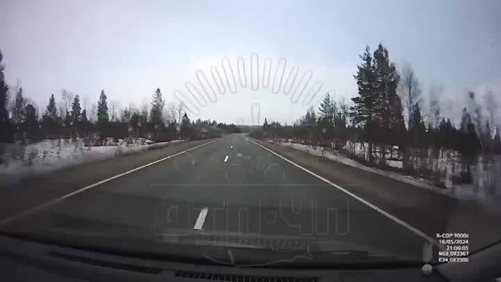 Видео от Регинфо51.Мурманск