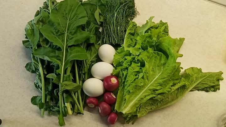 Самый простой и вкусный Летний Лёгкий Салат😘🌷 Зеленый салат  с яйц ...