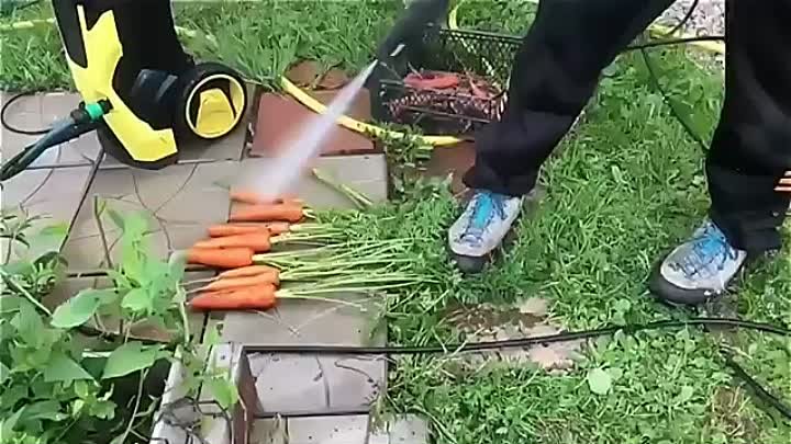 Для богатого урожая моркови.mp4
