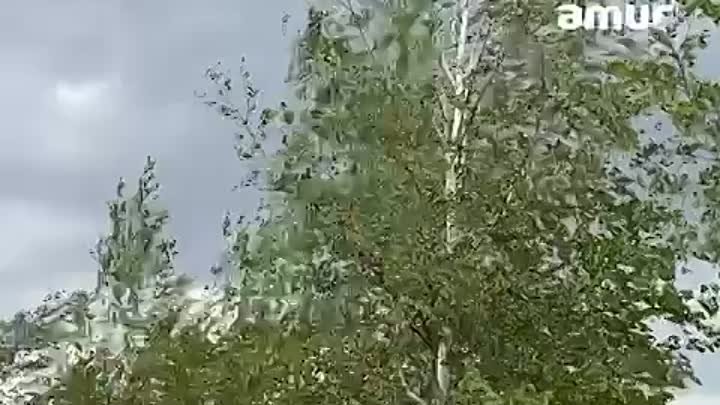 Ураганный ветер бушует в Хабаровске