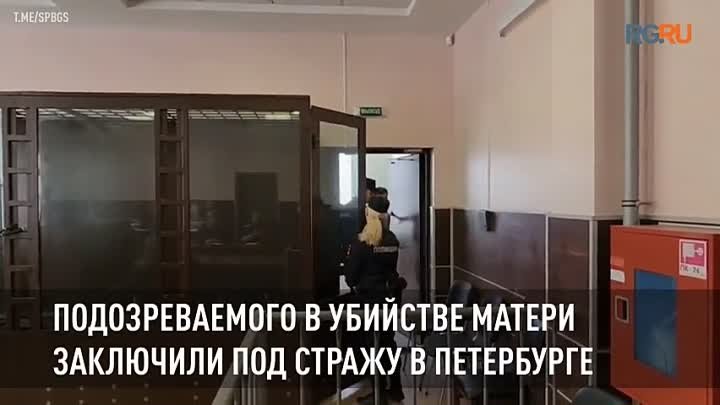 Подозреваемого в убийстве матери заключили под стражу в Петербурге