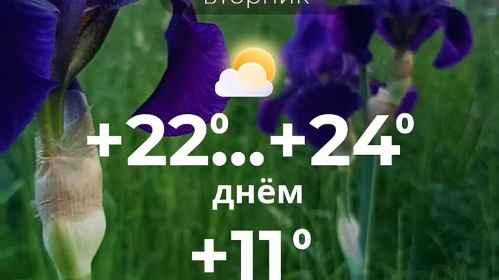 Погода в Солигорске на 21 мая