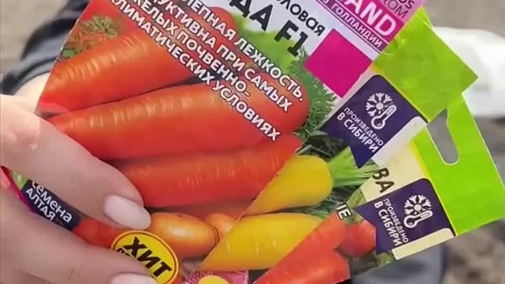 Правильный посев моркови 