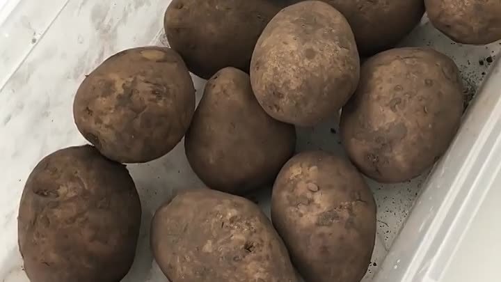 Секрет хранения картофеля 🥔