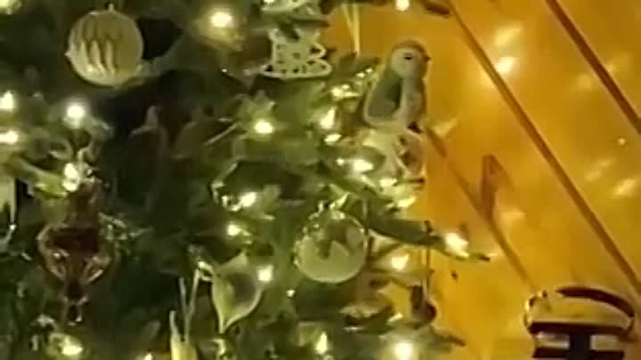 Знакомое предновогоднее? 🎄