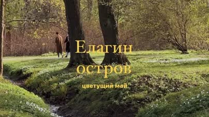 💚🌷🌿 Цветущий май. Елагин остров, Санкт-Петербург