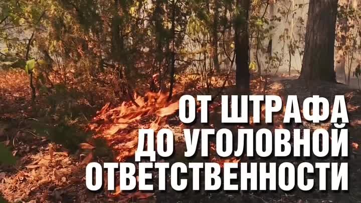 За глупость придется отвечать.MP4