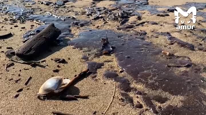 Пятно из топлива появилось в районе пляжа ТМТ в Находке