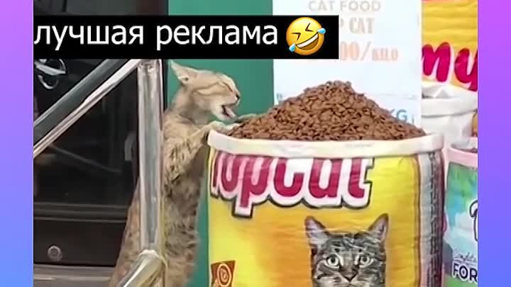 Вкусно, надо брать!