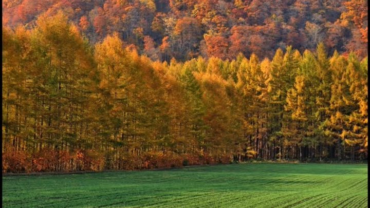 🎼🍂ОСЕНЬ🍁 ОСЕНЬ=19