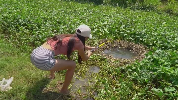 Рыболовное видео. Удивите девушку ловящую змей традиционным крючком