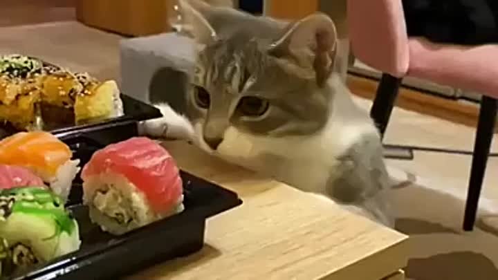 Я просто люблю суши 😁