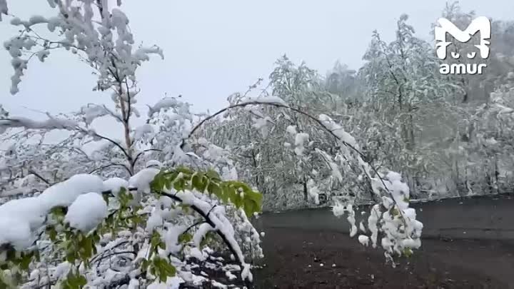 Снежная сказка внезапно накрыла посёлок Горный и трассу в районе озе ...