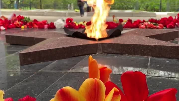 Молодёжный актив «Энергосбыт Волга» возложил цветы к Вечному огню ме ...
