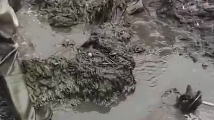 Красноярские коммунальщики показали, что достают из забитой канализации