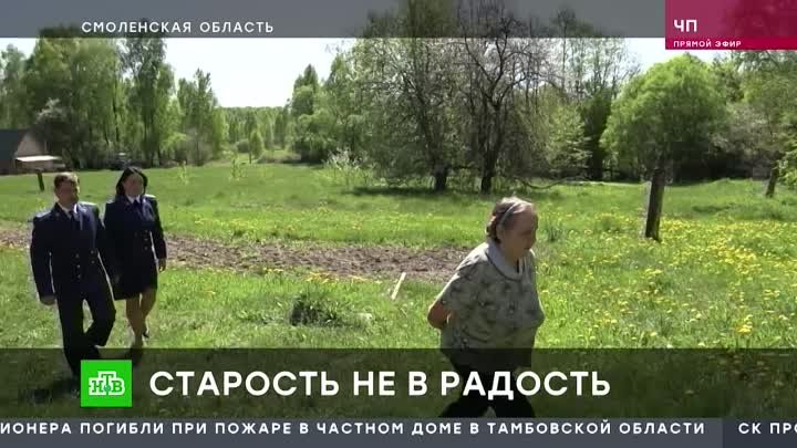 Следователи в Смоленске задержали соседку 96-летнего ветерана ВОВ, к ...