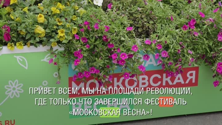 «Московская весна»: пончики и рукоделие на площади Революции