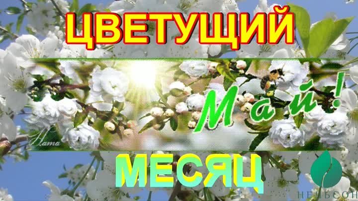 ЦВЕТУЩИЙ МАЙ ... Автор А.Нельсон