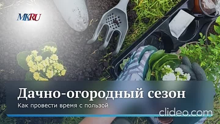 Дачный сезон открывается