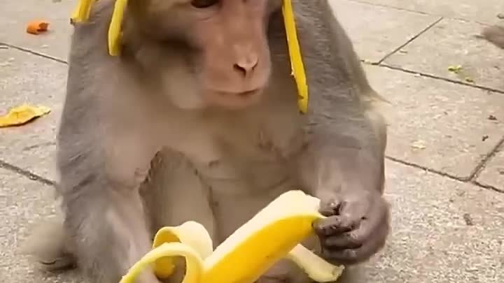 Банановый парень