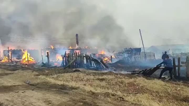Лесные пожары в Иркутской области добрались до жилых домов — жителей ...