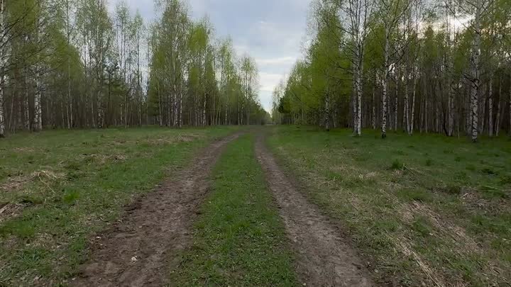 Видеопрогулка вблизи озера Светлояр.  Рассказ про печёночницу благор ...