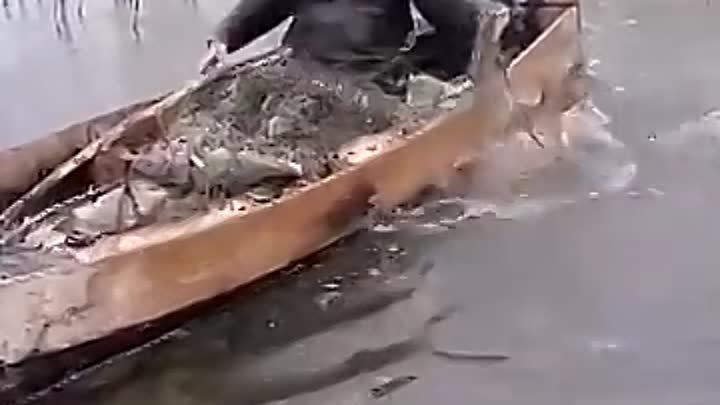 рыбалка сазан