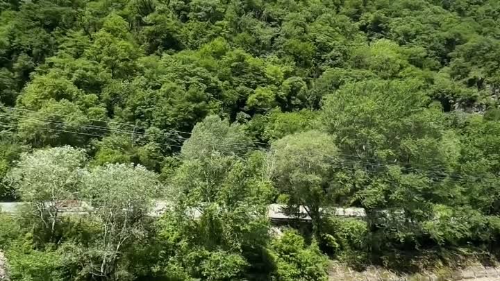 Стеклянный мост 🌉 Абхазия 😍
