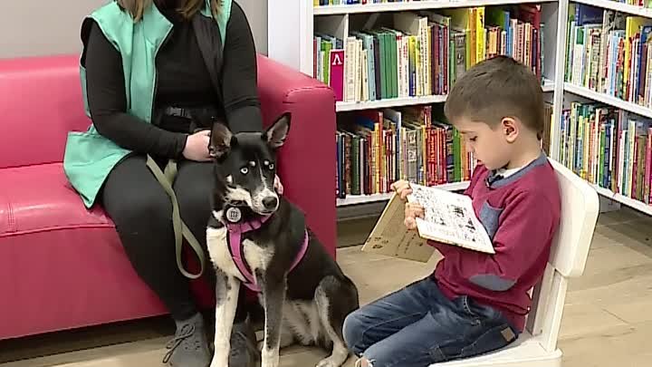 В красноярской библиотеке дети читают книги собакам