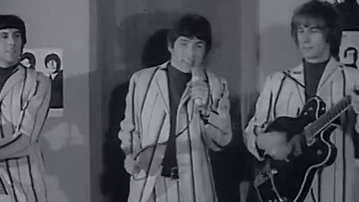 The Troggs - Wild Thing...