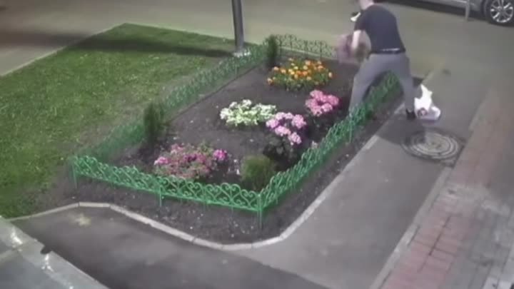 В Трёхгорке мужчина сорвал цветы с клумбы