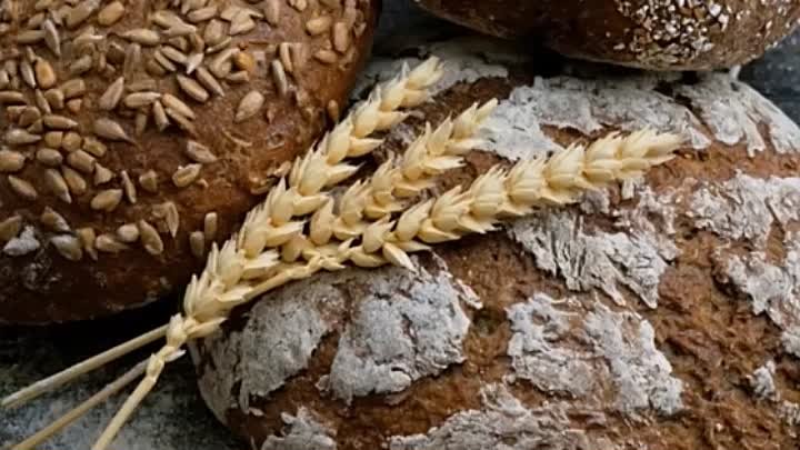 5 причин перейти на цельнозерновой хлеб