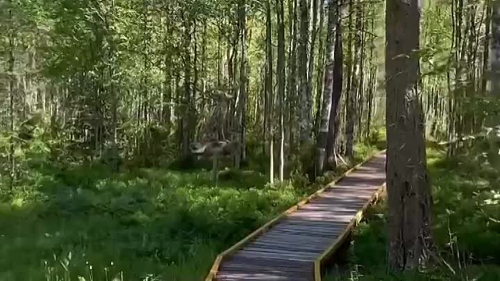 Видео от Русская культура