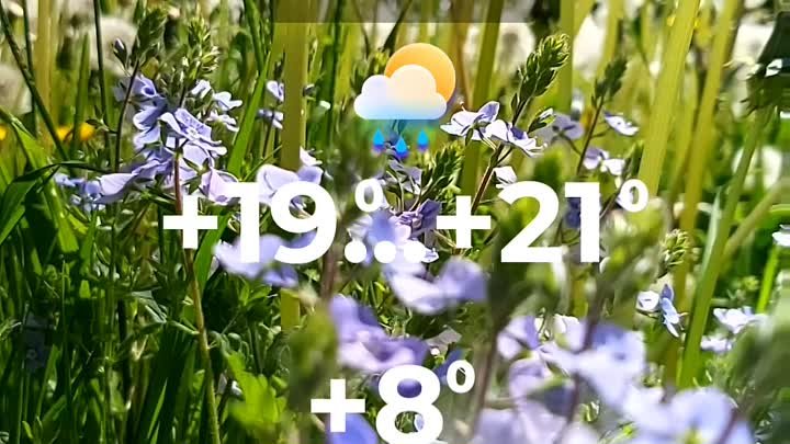 Погода в Солигорске на 19 мая