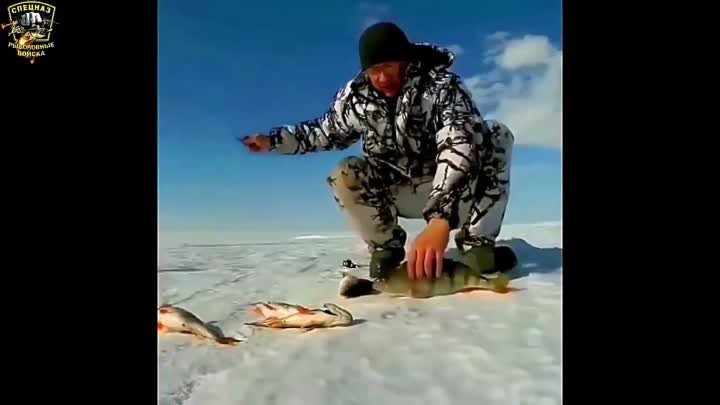 Трофейная подборка случаев с рыбалки   Браконьеры на рыбалке   Зимняя рыбал