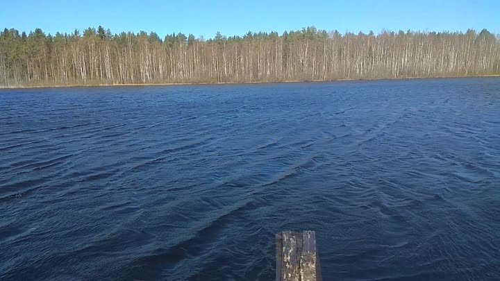 Озеро Черное. дер Озерская г.Луза 2024