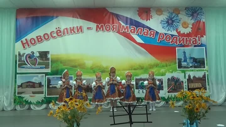 Праздник села Новоселки 2019г