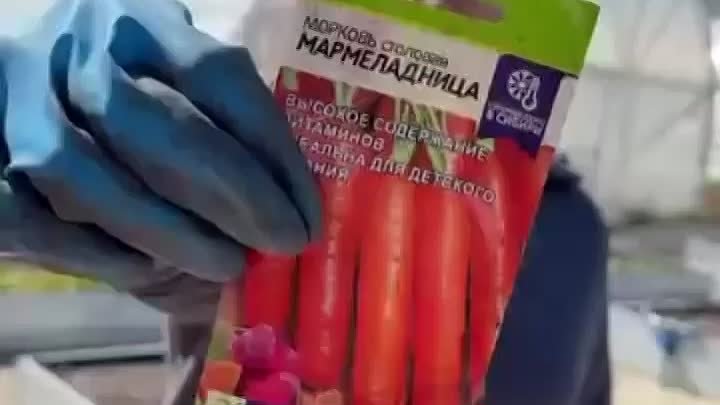 Морковь без прореживания - супер способы