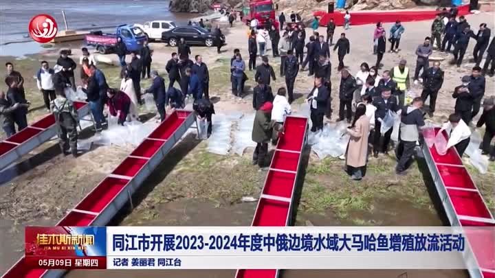 Более 400 тыс мальков кеты выпустили в Амур власти Тунцзяна