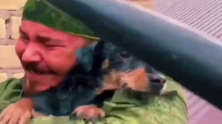 Спасение собакена в пригороде Оренбурга