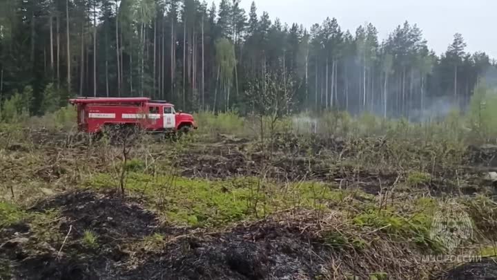 В Южском районе зарегистрирован первый лесной пожар