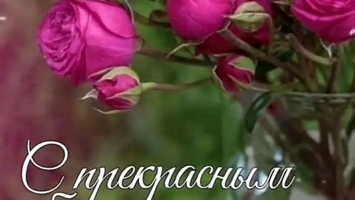 С прекрасным добрым утром🌺