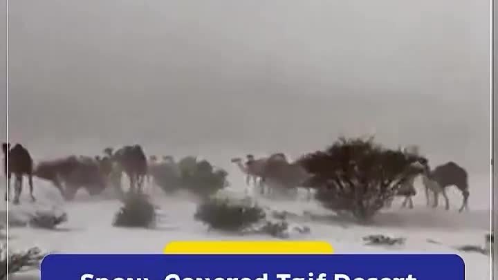 Снег в пустыне Южной Аравии, май 2024