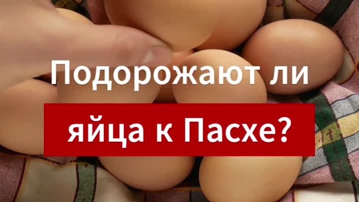 Подорожают ли яйца к Пасхе?