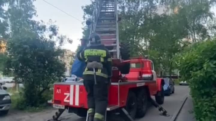Пожарные спасли кота