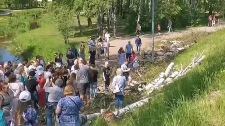 Кудровчане вышли на защиту парка