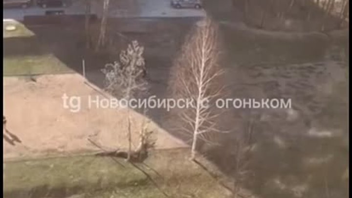 Video by Ревизорро Новосибирск.mp4