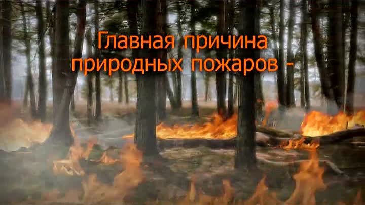 Главная причина природных пожаров - неосторожное обращение с огнем [ ...