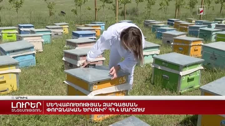 Пилотная программа развития пчеловодства в 4 регионах Республики Армения